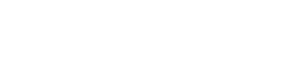 IIA Institute Ecuador Horizontal White